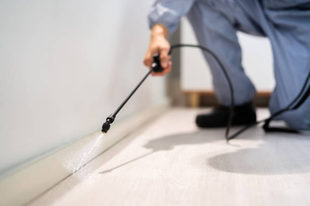 Bed Bug Pre-Treatment Preparation Assessment in Cedarville