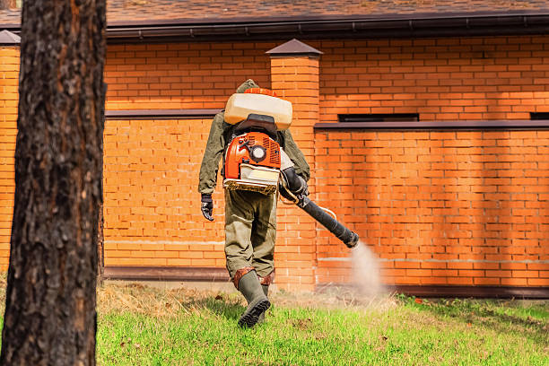 Bed Bug Clearance Verification and Documentation in Cedarville